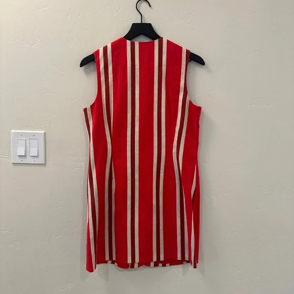 Simon Miller Carob Mini Dress – Moroccan Spice – Size M - Picture 2 of 7